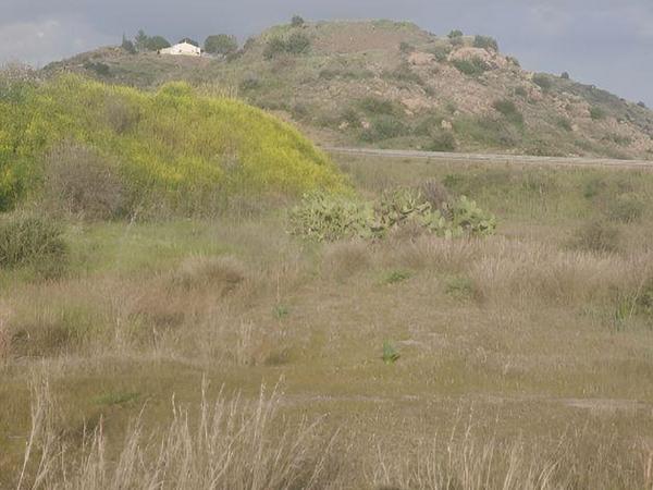 land for sale eptagoneia limassol 1709414 image 4536210