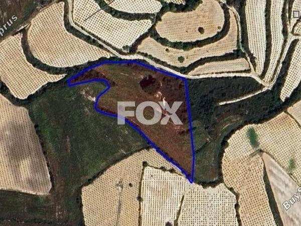 land for sale kathikas paphos 1270414 image 5572695