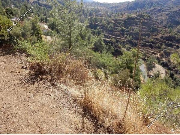 land for sale kalo chorio lemesou limassol 8630514 image 15873625