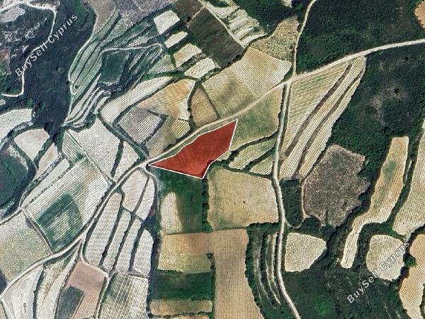 land for sale omodos limassol 8526514 image 15440463