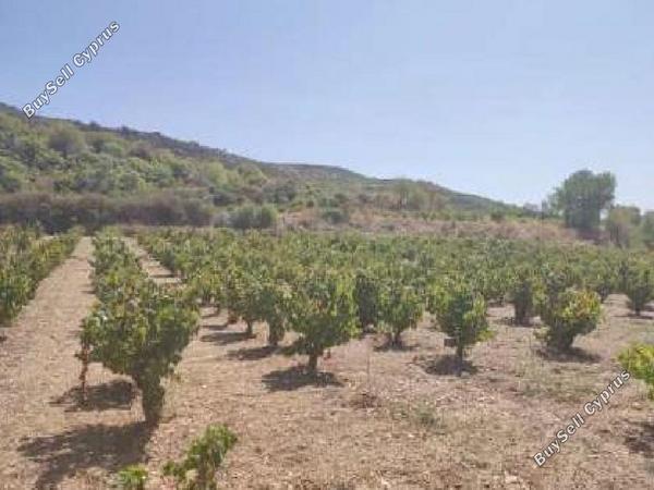 land for sale omodos limassol 8526514 image 15440464