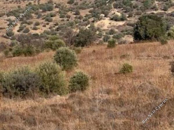 land for sale statos agios fotios paphos 8244514 image 15595874
