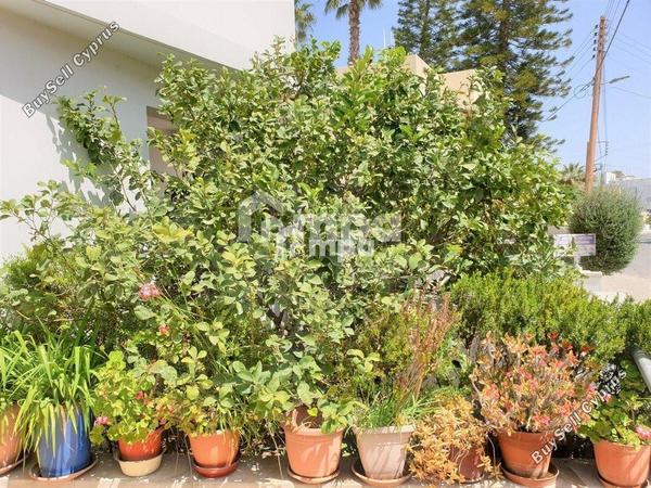 studio apartment building for sale strovolos nicosia 1728514 image 7448078