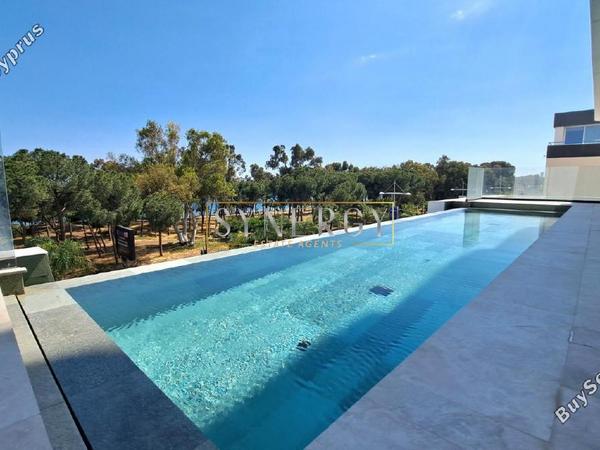 1 bedroom apartment for rent potamos germasogeias limassol 8670614 image 16339889