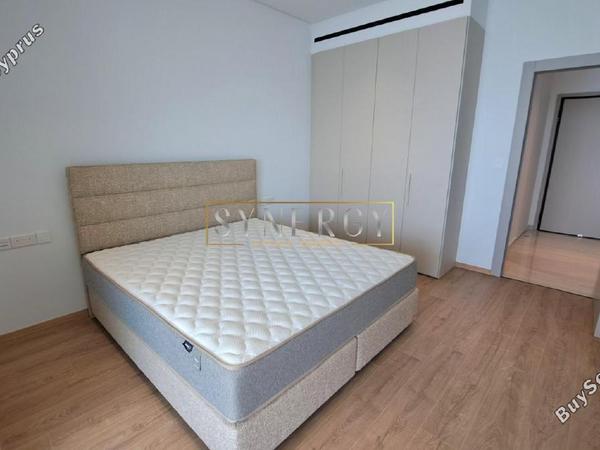1 bedroom apartment for rent potamos germasogeias limassol 8670614 image 16339903