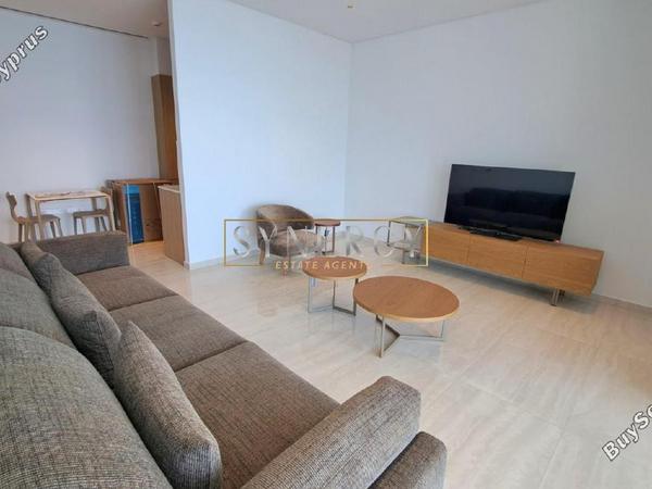 1 bedroom apartment for rent potamos germasogeias limassol 8670614 image 16339906
