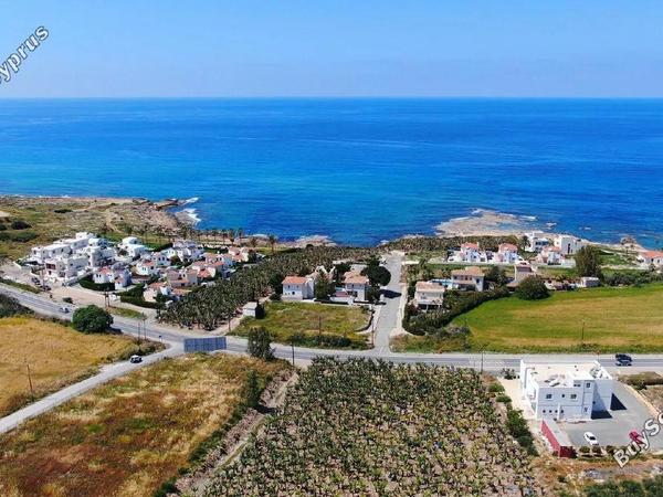 3 bedroom detached house for sale kissonerga paphos 8771614 image 16670828