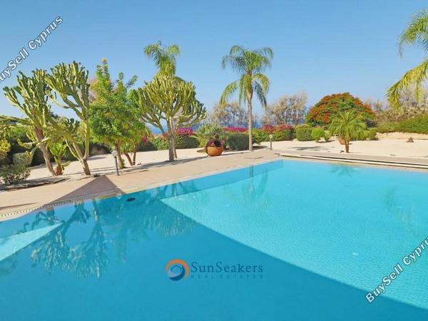 4 bedroom detached house for sale saint george peyia paphos 8529614 image 15928893