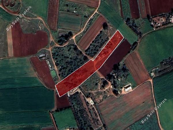 land for sale liopetri famagusta 1077614 image 1261799