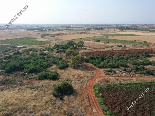 land for sale liopetri famagusta 1077614 image 1261801