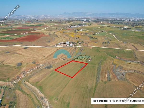 land for sale palaiometocho nicosia 8704614 image 16232476