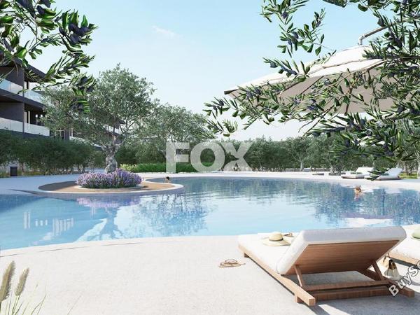 1 bedroom apartment for sale anarita paphos 8710714 image 16268960
