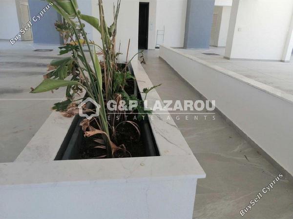 2 bedroom apartment for rent latsia nicosia 8771714 image 16578879