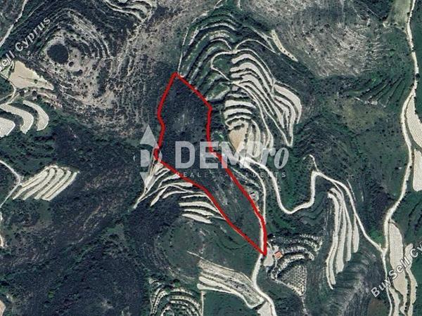 land for sale koili paphos 7812714 image 16238887