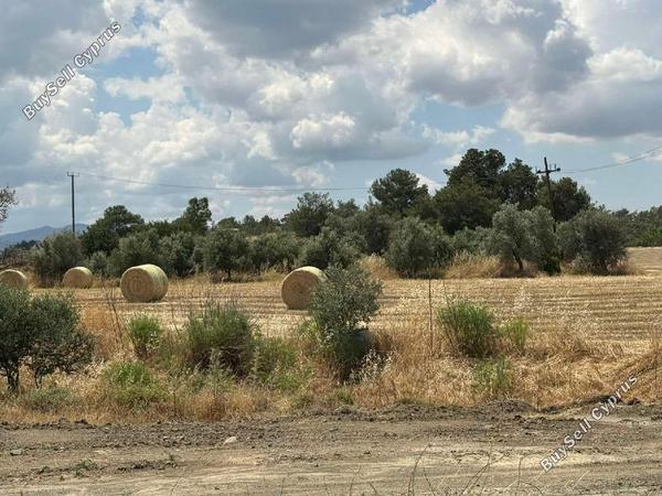 land for sale mathiatis nicosia 8698714 image 16207371