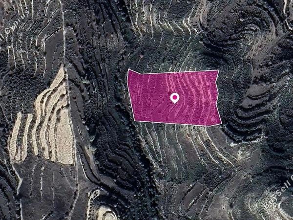 land for sale pachna limassol 1213714 image 14114046