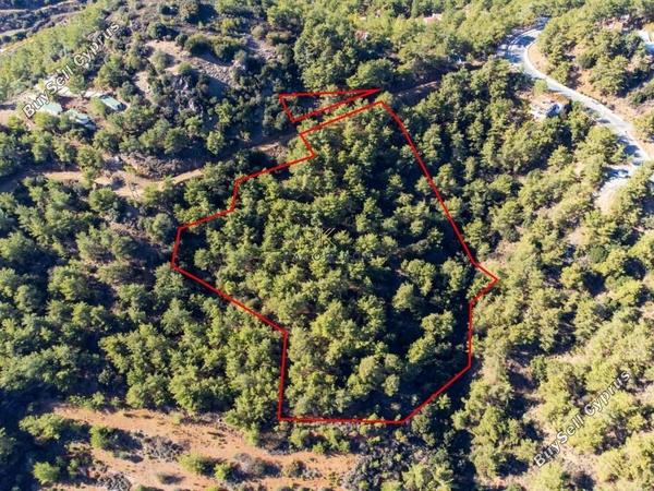 land for sale vavatsinia larnaca 1194714 image 5569561