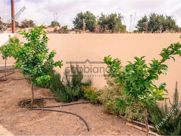 3 bedroom detached house for sale alaminos larnaca 8738814 image 16364703