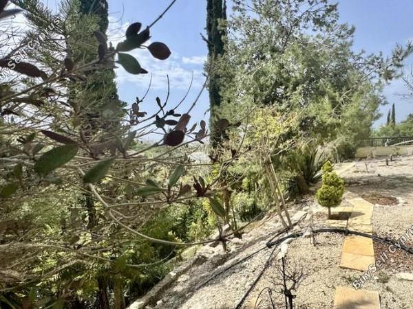 5 bedroom detached house for sale tala paphos 8537814 image 16594453
