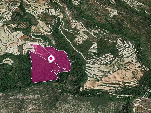 land for sale koili paphos 8629814 image 15869963