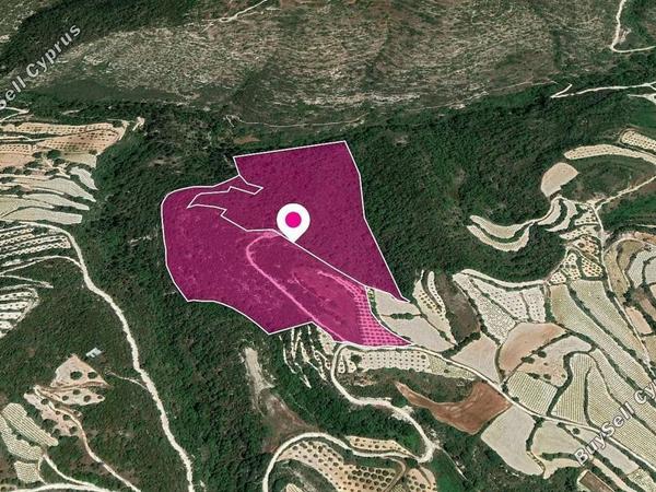 land for sale koili paphos 8629814 image 15869964