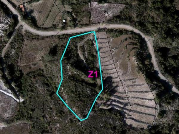 plot for sale kato platres limassol 1213814 image 5375799