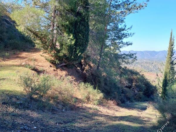 plot for sale kato platres limassol 1213814 image 5375813