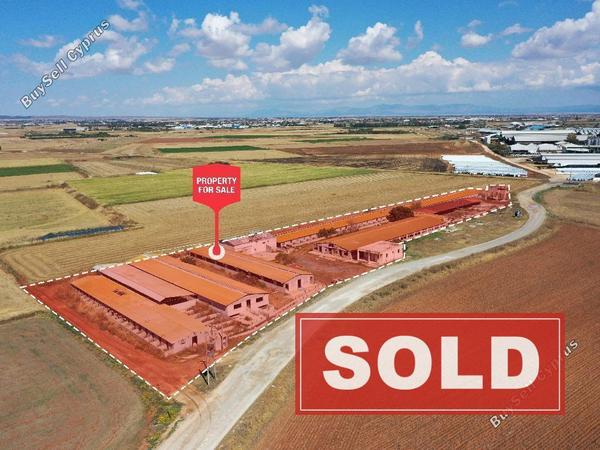 studio farm sold ormideia larnaca 822814 image 4121026