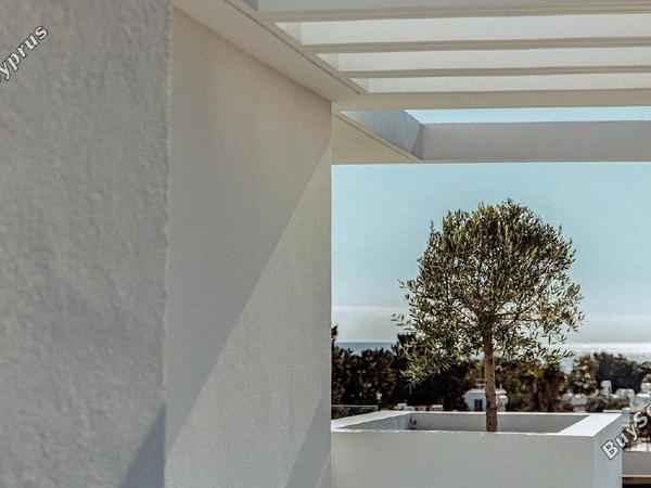 studio hotel for sale kato paphos paphos 8237814 image 14236720