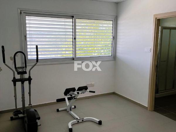 studio warehouse for rent agios silas limassol 1571814 image 15840268
