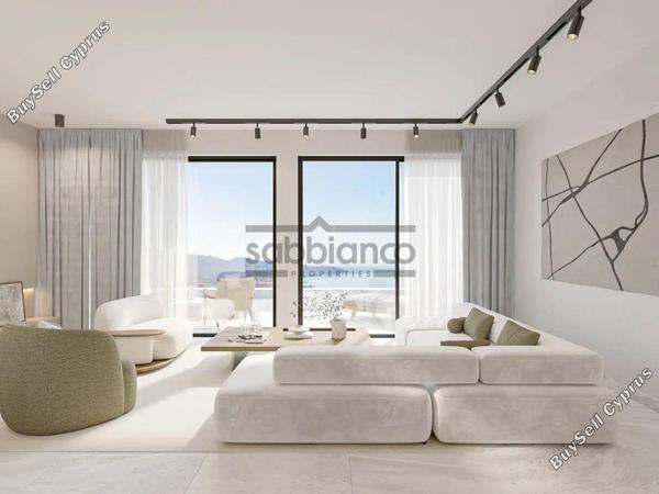 3 bedroom detached house for sale tala paphos 8740914 image 16387667