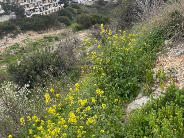 plot for sale peyia paphos 8749914 image 16480109