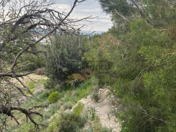 plot for sale peyia paphos 8749914 image 16480110