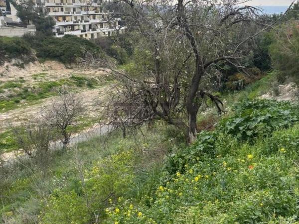 plot for sale peyia paphos 8749914 image 16480115