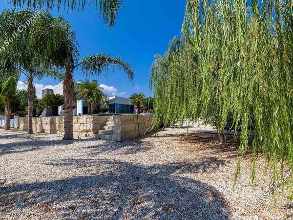 3 bedroom detached house for sale neo chorio paphos 1586024 image 6202607