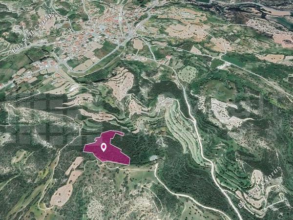 land for sale agios theodoros larnacas larnaca 7872024 image 11383877