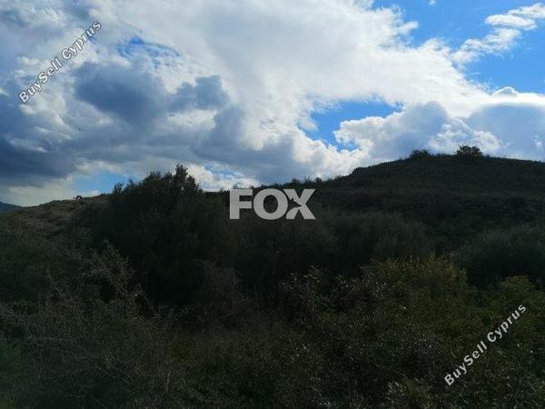 land for sale pachna limassol 8404024 image 14875724
