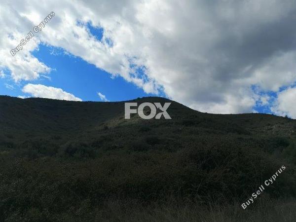 land for sale pachna limassol 8404024 image 14875725
