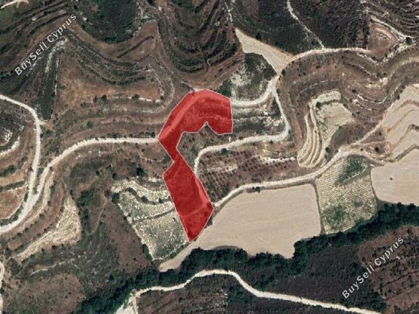 land for sale pachna limassol 8630024 image 16656496