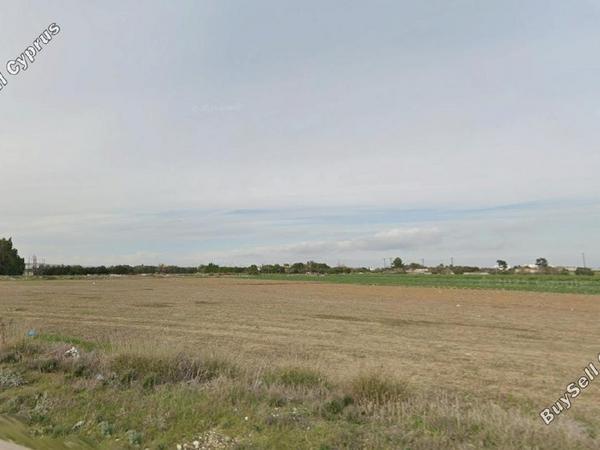 land for sale pervolia larnaca 8388024 image 14778905
