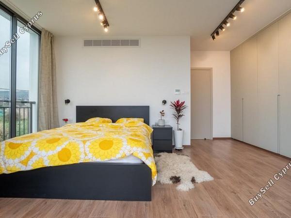 3 bedroom detached house for rent emba paphos 8500124 image 15326817