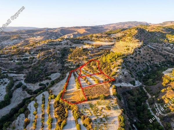 land for sale amargeti paphos 1898124 image 14212236