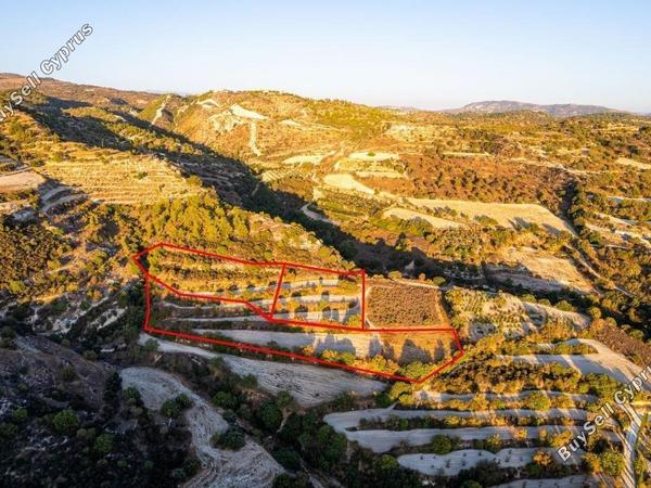land for sale amargeti paphos 1898124 image 14212243