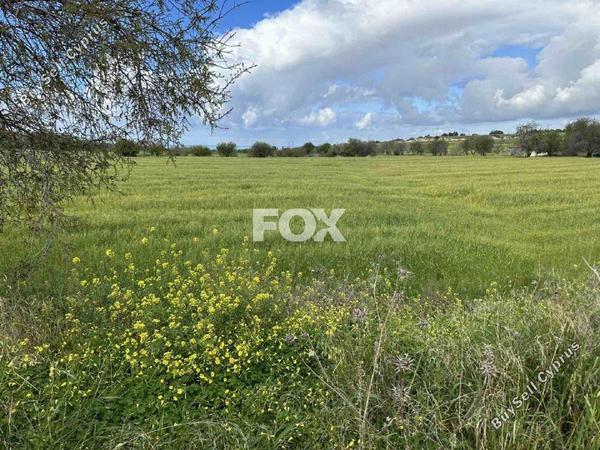 land for sale anarita paphos 1270124 image 15730000