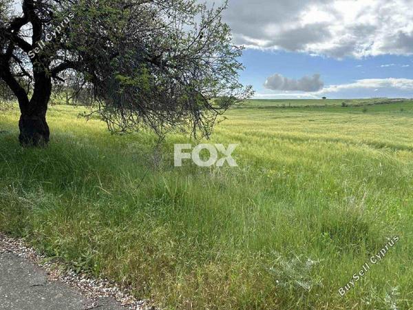 land for sale anarita paphos 1270124 image 15730003