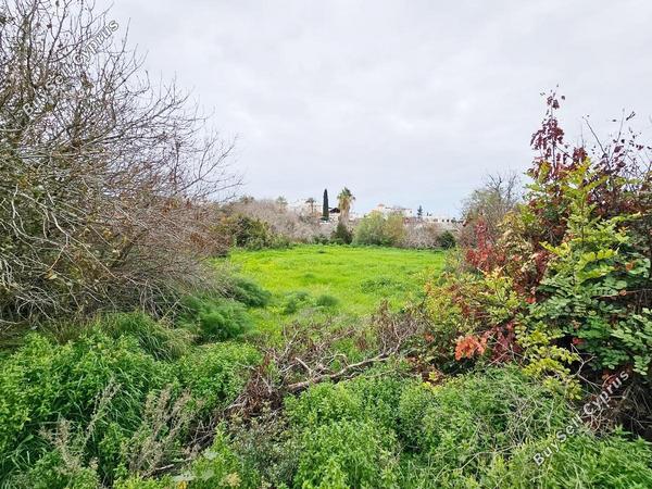 land for sale konia paphos 1286124 image 2314051