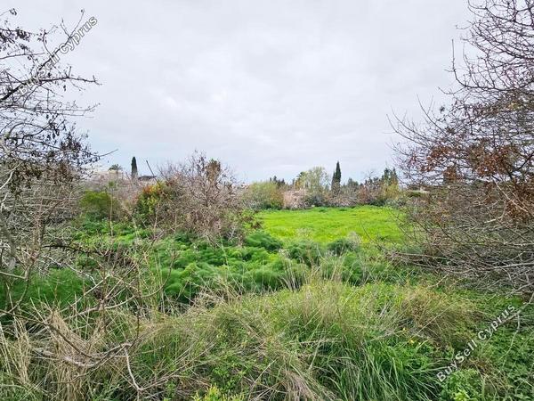 land for sale konia paphos 1286124 image 2314052