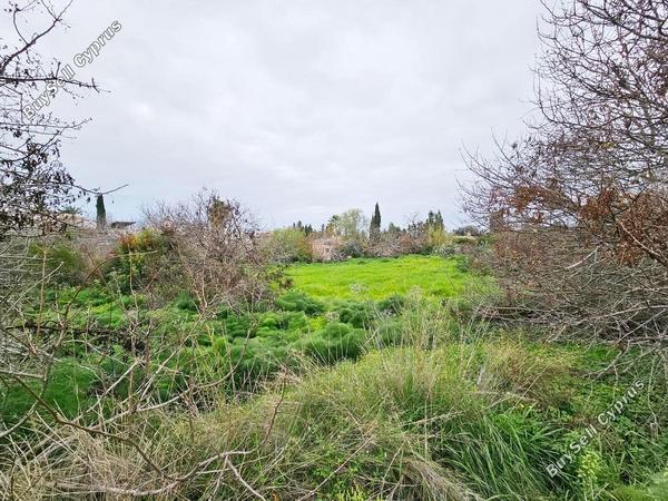 land for sale konia paphos 1286124 image 2314053