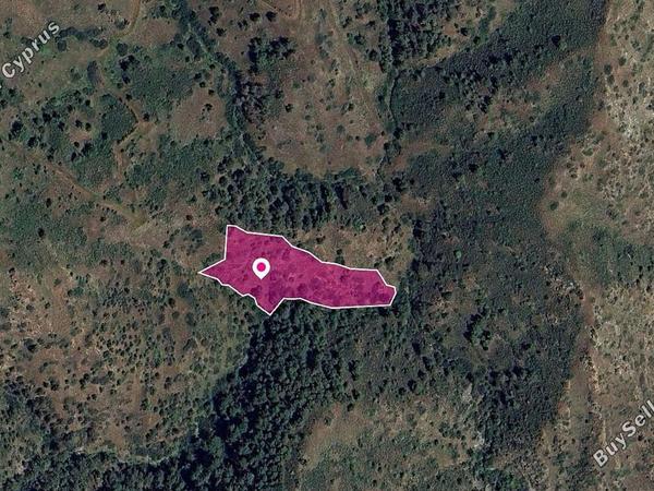 land for sale pigenia nicosia 1213124 image 14113519