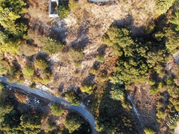 plot for sale tsada paphos 8442124 image 15062784